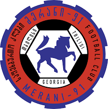 პარტნიორის ლოგო Partner Logo